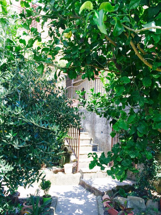 Prignano Cilento Pozzo Medievale מראה חיצוני תמונה